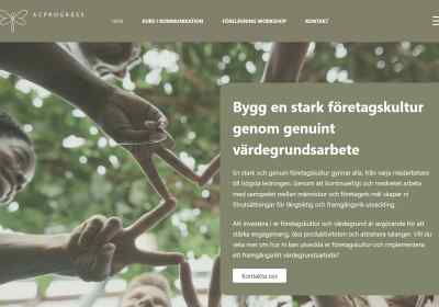 ACP Progress AB – Website package in WordPress