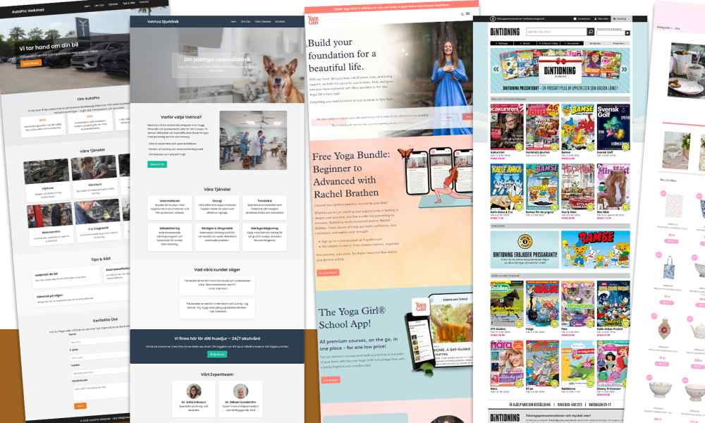 The website packages offer ready-made solutions based on professional templates that are optimized for fast delivery and high cost efficiency